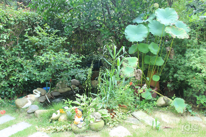魚兒算寵物嗎？秀秀我家的魚兒。