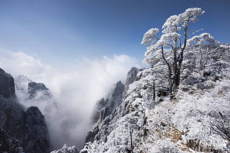 冬天的黄山象童话一样美