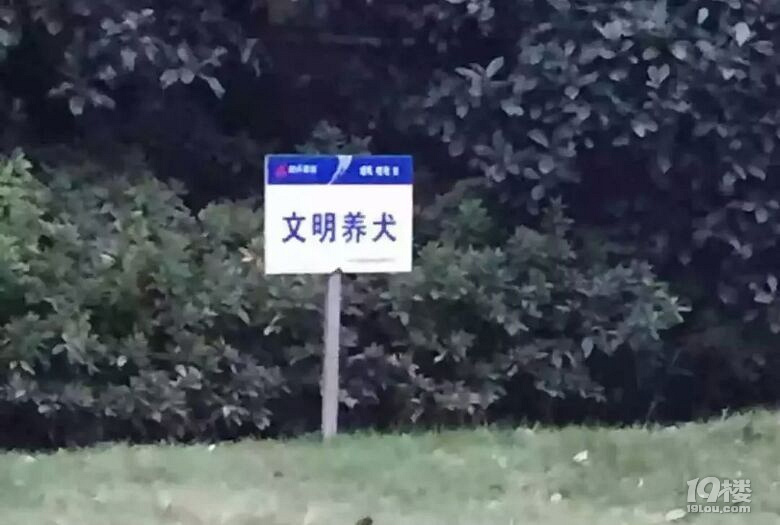 狗狗频频刷屏,两种对立的声音突出…时报