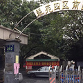 鿴ß