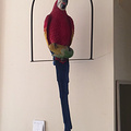 鿴ß