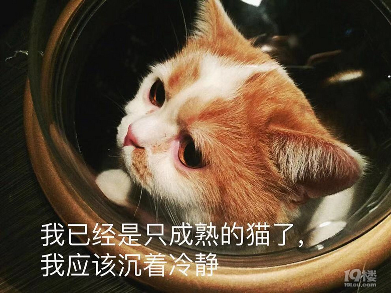 【任性剁手】最任性的剁手大概就是買了個生命