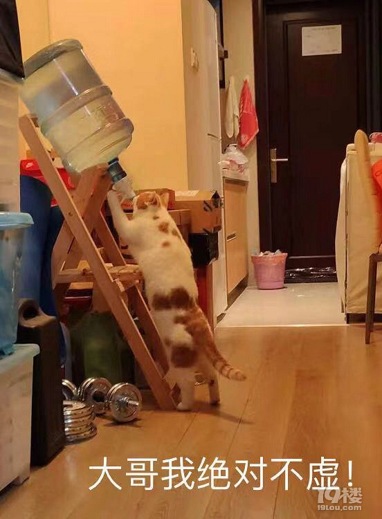 【任性剁手】最任性的剁手大概就是買了個生命