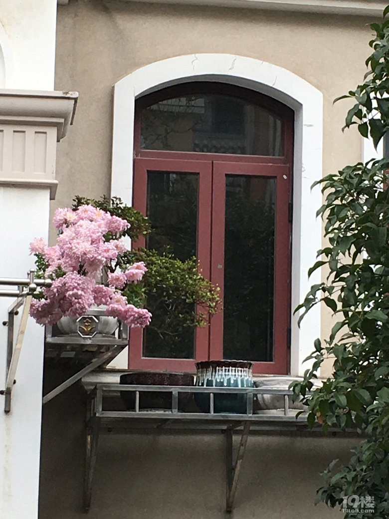 秋葉和秋花