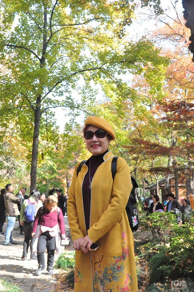 蘇州天平山之五彩楓