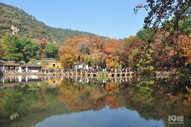 蘇州天平山之五彩楓