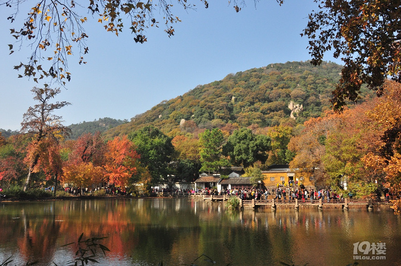 蘇州天平山之五彩楓
