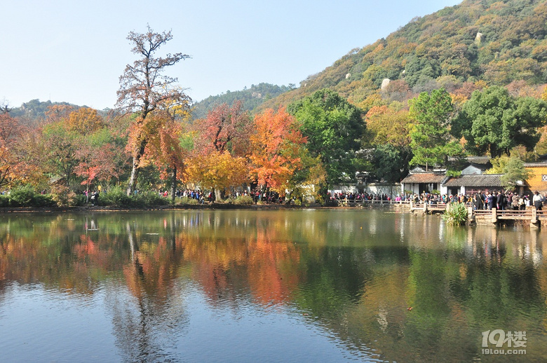 蘇州天平山之五彩楓