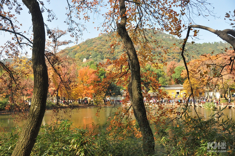 蘇州天平山之五彩楓