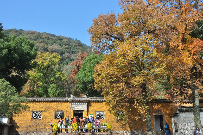 蘇州天平山之五彩楓