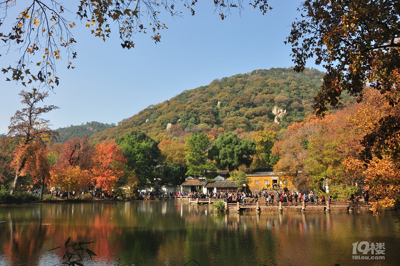 蘇州天平山之五彩楓