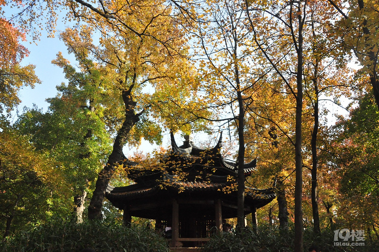 蘇州天平山之五彩楓