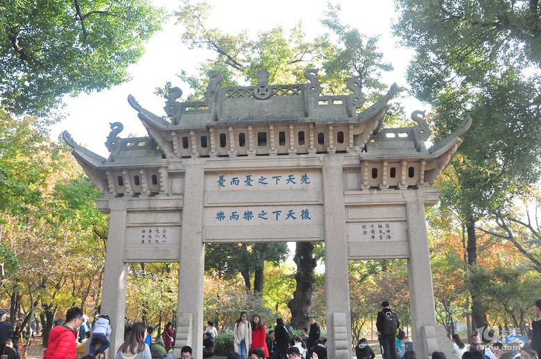 蘇州天平山之五彩楓