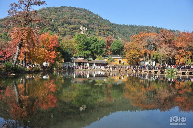 蘇州天平山之五彩楓