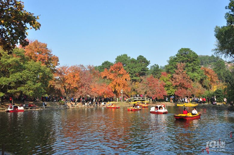 蘇州天平山之五彩楓