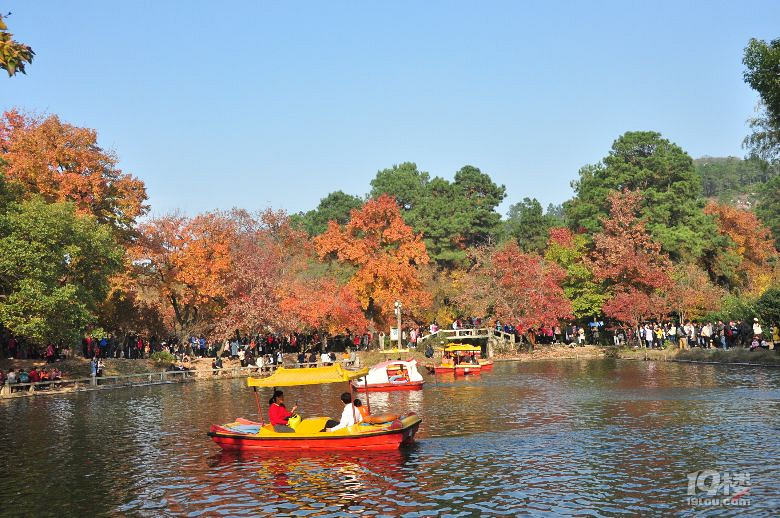 蘇州天平山之五彩楓