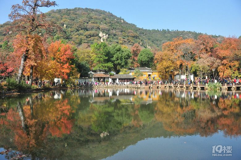 蘇州天平山之五彩楓