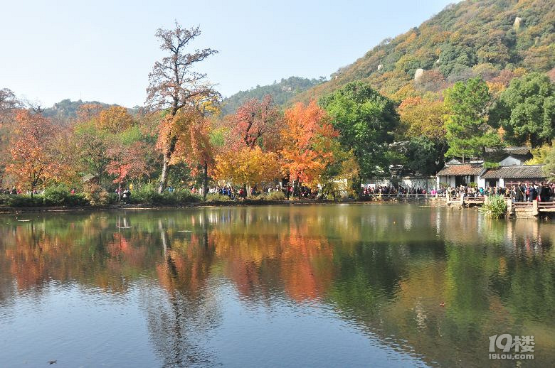 蘇州天平山之五彩楓