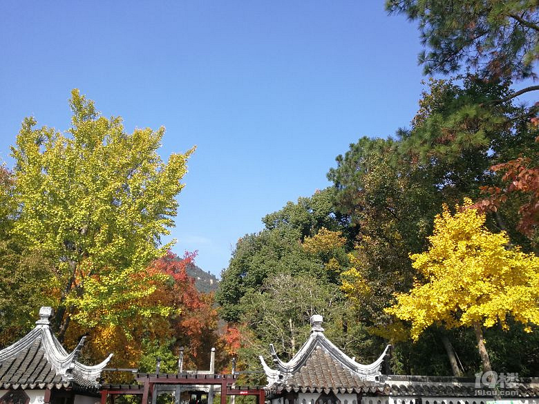 蘇州天平山之五彩楓