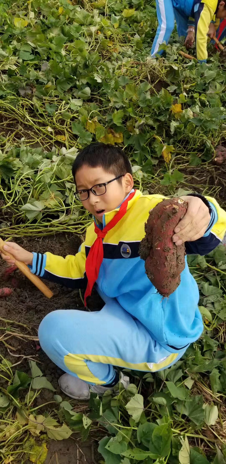 崇文实验小学学农主题活动