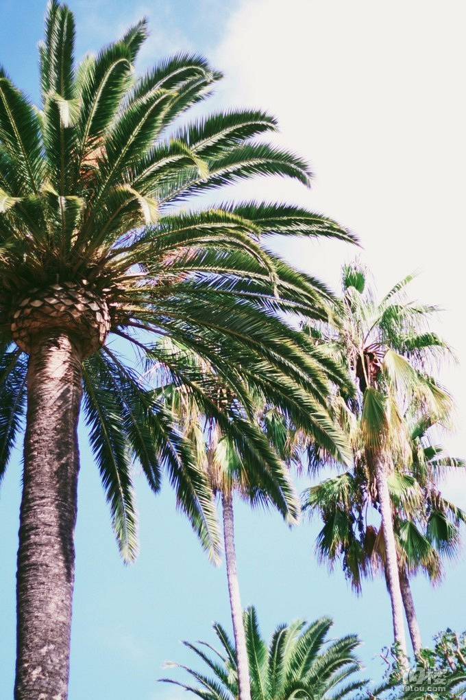  D(zhun)ʹ֮ǡLA