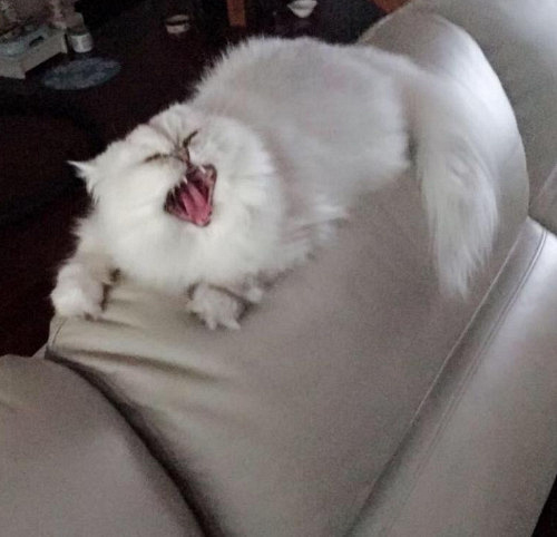 ԏkɳ؈ِҵ^һԓQ5
