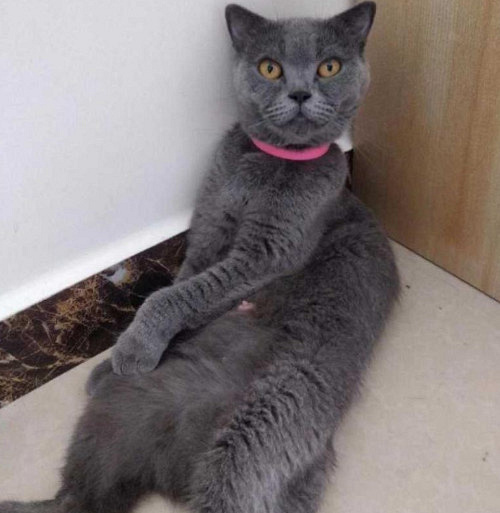 ԏkɳ؈ِҵ^һԓQ5