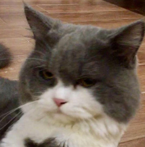 ԏkɳ؈ِҵ^һԓQ5