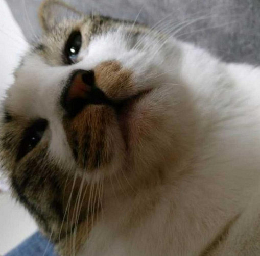 ԏkɳ؈ِҵ^һԓQ5
