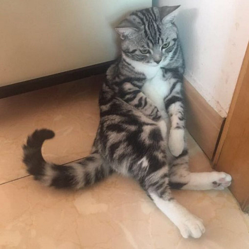 ԏkɳ؈ِҵ^һԓQ5