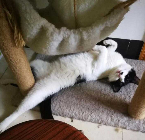 ԏkɳ؈ِҵ^һԓQ5