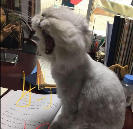 ԏkɳ؈ِҵ^һԓQ5
