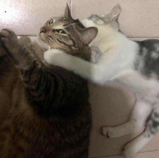 ԏkɳ؈ِҵ^һԓQ5