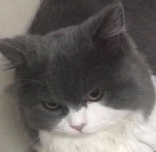 ԏkɳ؈ِҵ^һԓQ5