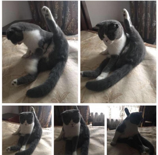 ԏkɳ؈ِҵ^һԓQ5