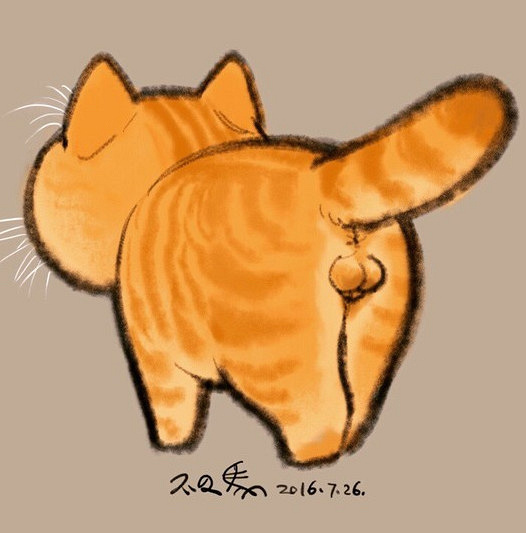 比起猫铃铛,项圈的伤害也许更大