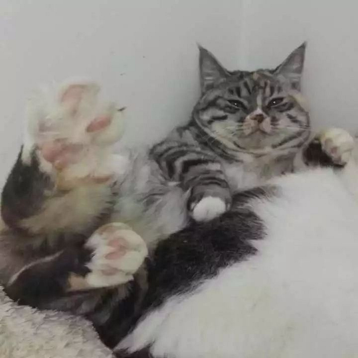 ԏkɳ؈ِҵ^һԓQ5