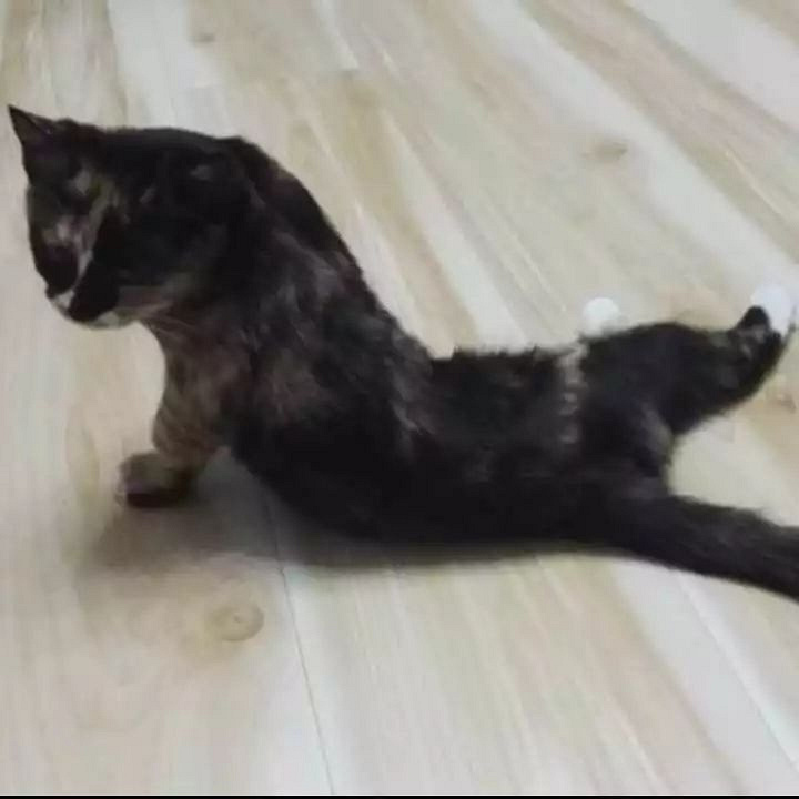 ԏkɳ؈ِҵ^һԓQ5