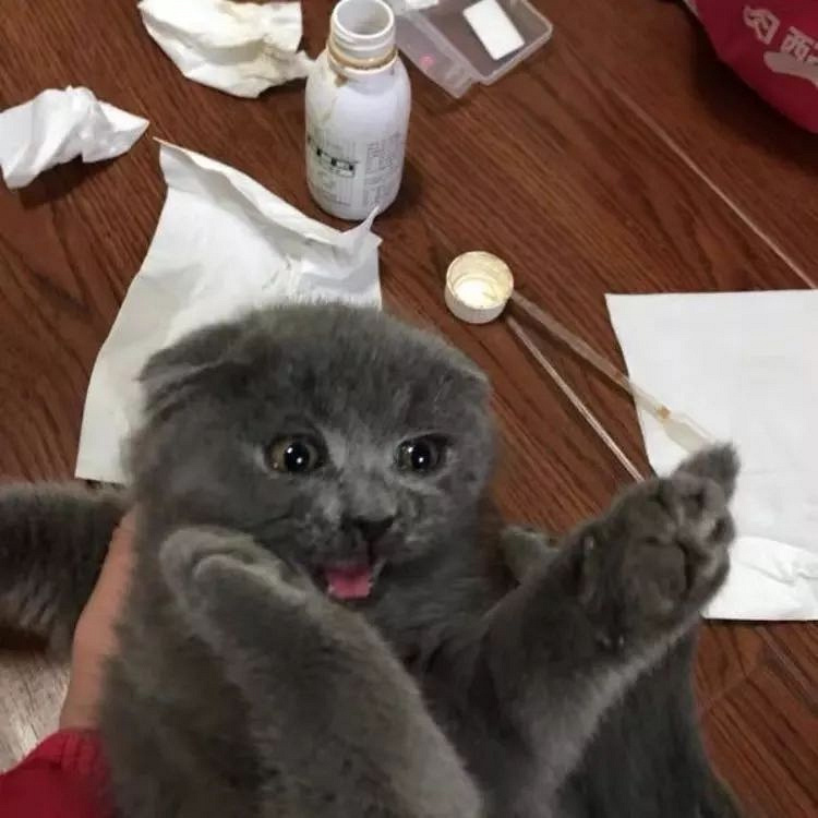 ԏkɳ؈ِҵ^һԓQ5