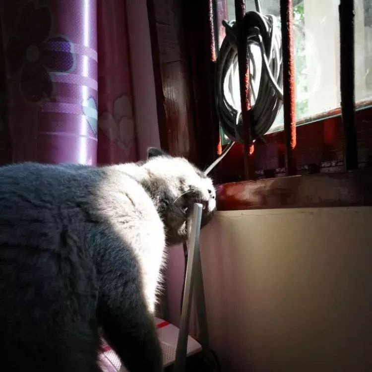 ԏkɳ؈ِҵ^һԓQ5
