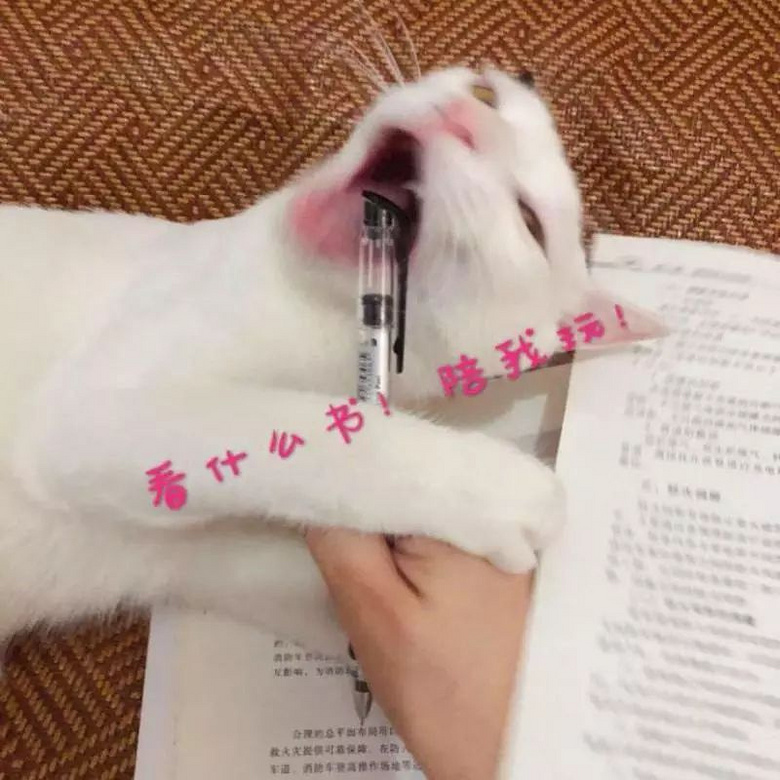 ԏkɳ؈ِҵ^һԓQ5