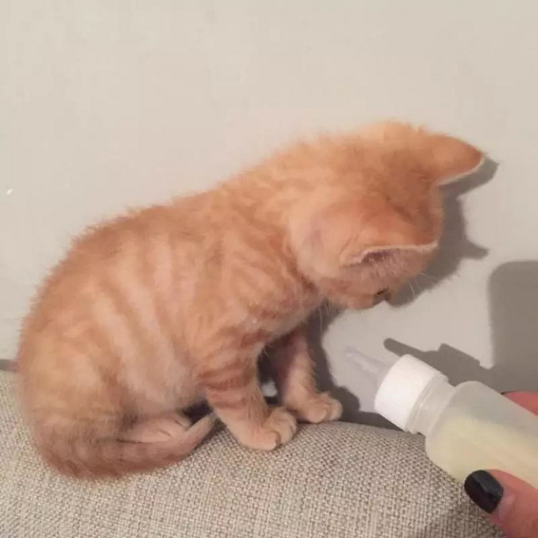 ԏkɳ؈ِҵ^һԓQ5