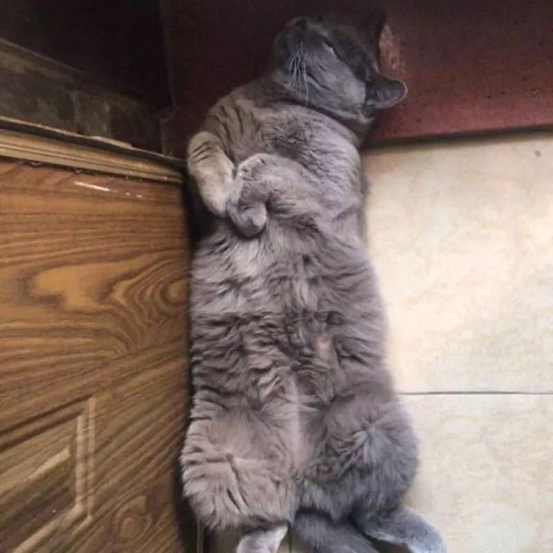 ԏkɳ؈ِҵ^һԓQ5