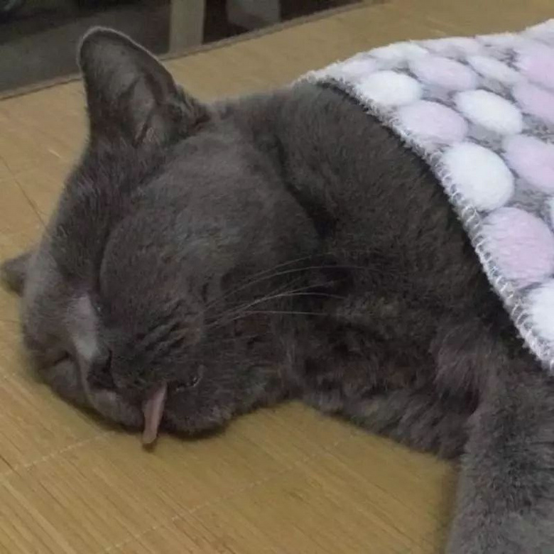 ԏkɳ؈ِҵ^һԓQ5