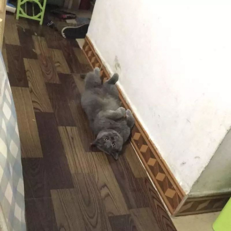 ԏkɳ؈ِҵ^һԓQ5