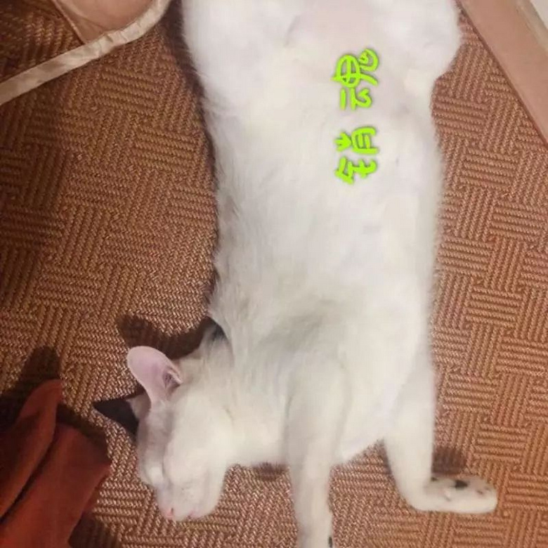 ԏkɳ؈ِҵ^һԓQ5