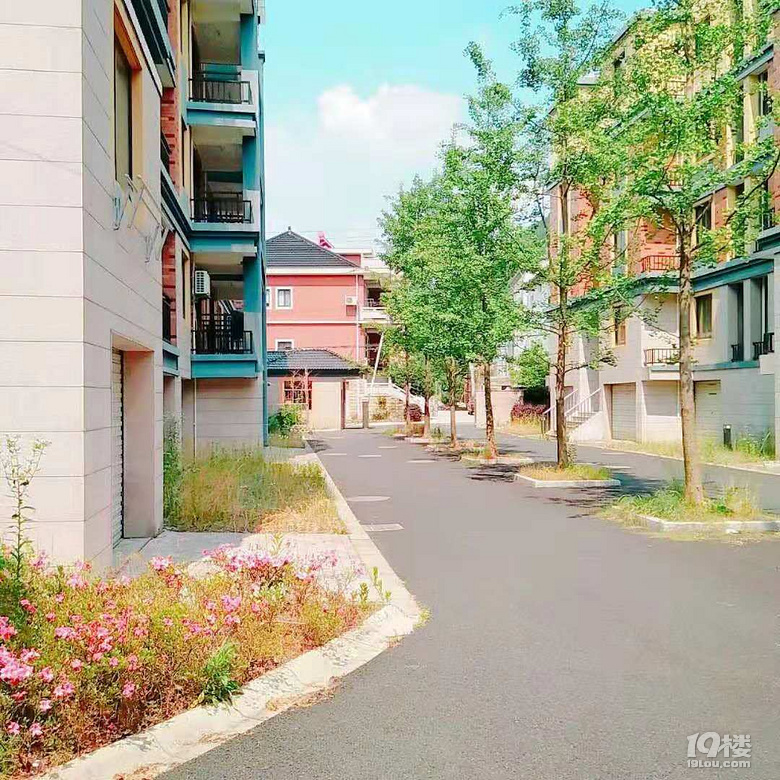 鿴ԭD