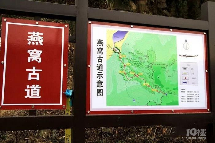 又到一年最美時(shí)！游賞四明湖紅杉林，徒步燕窩古道周末行