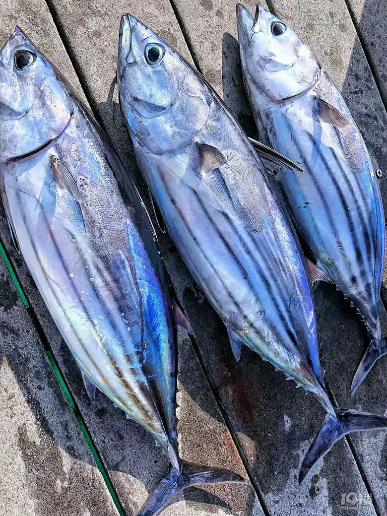 美食與美景的狂歡盛宴——ROTA島7日游