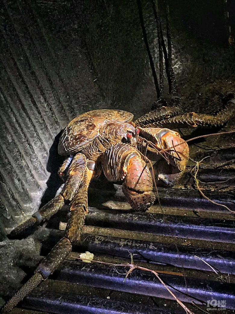 美食與美景的狂歡盛宴——ROTA島7日游